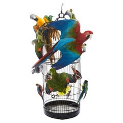 Taxidermie - Splendide cages aux Oiseaux - 14 perroquets et perruches