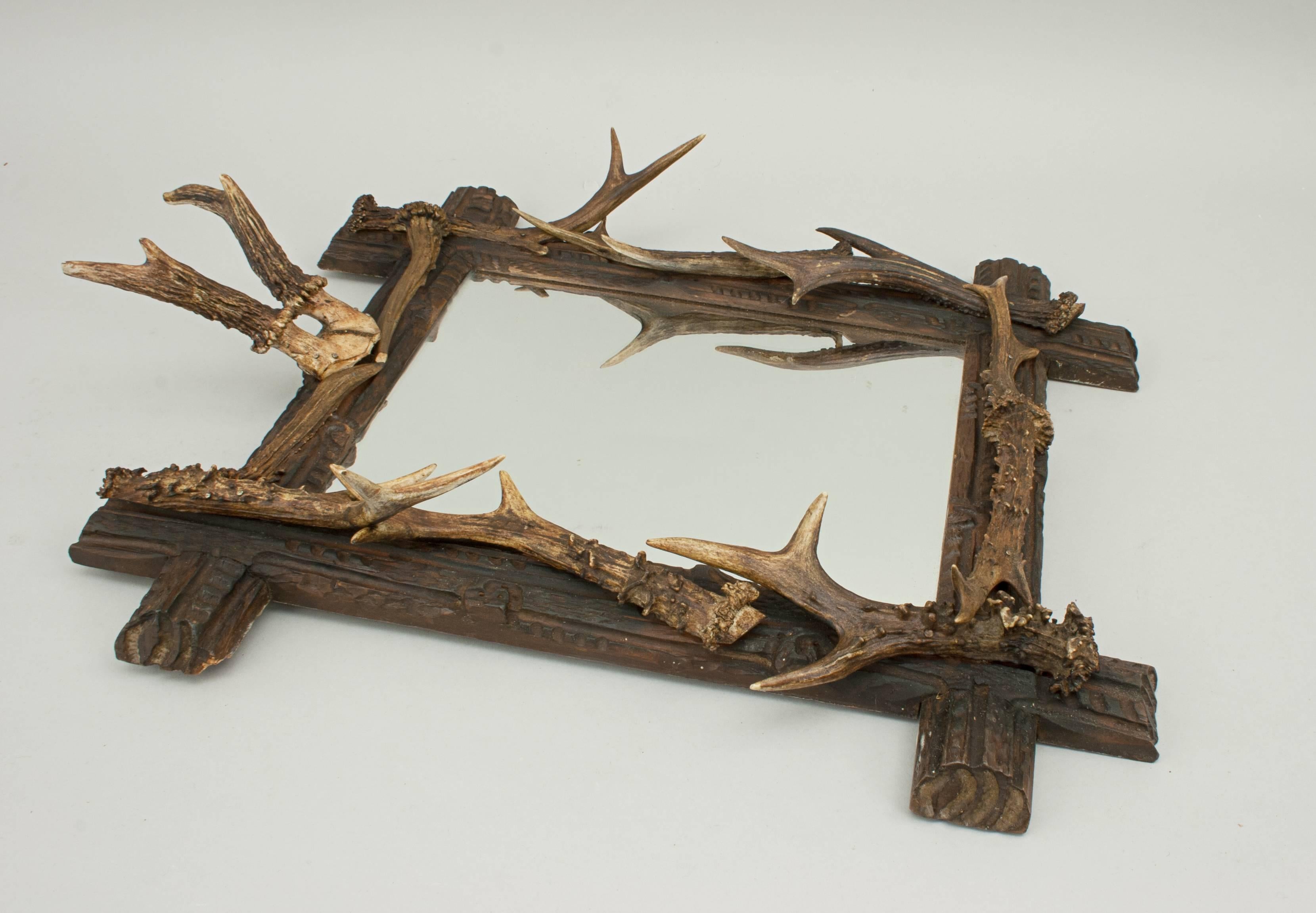 Black Forest Taxidermy Antler Mirror