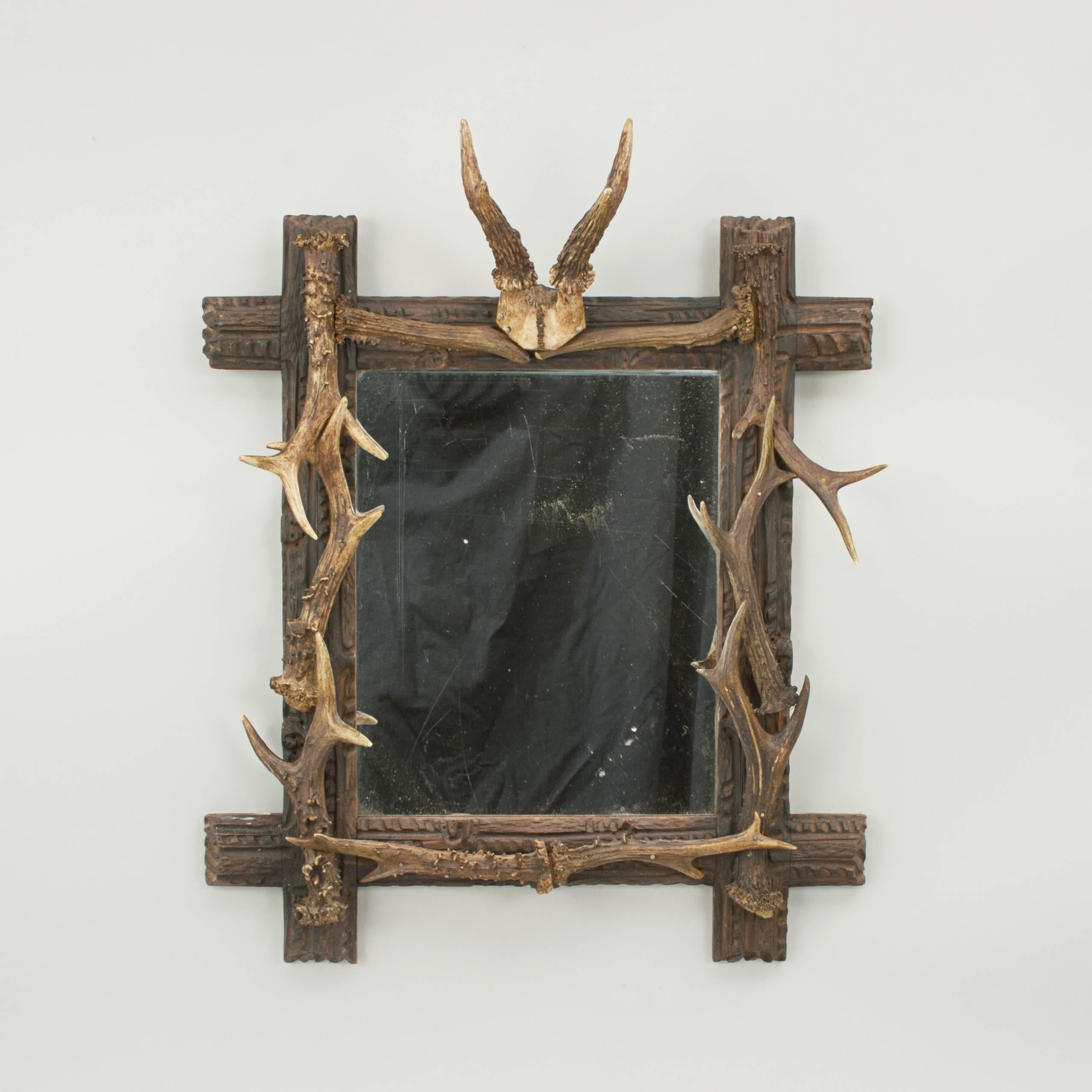 Taxidermy Antler Mirror In Good Condition In Oxfordshire, GB