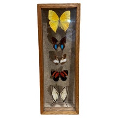 More Furniture and Collectibles