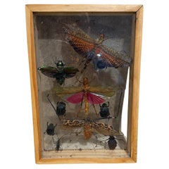 Plus de meubles et pièces de collection