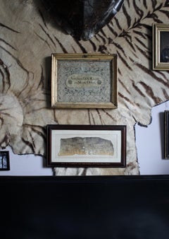 Taxidermy Crocodile Skin Shot on Zambezi Near Shupanga 27th August 1911 By W.G.C