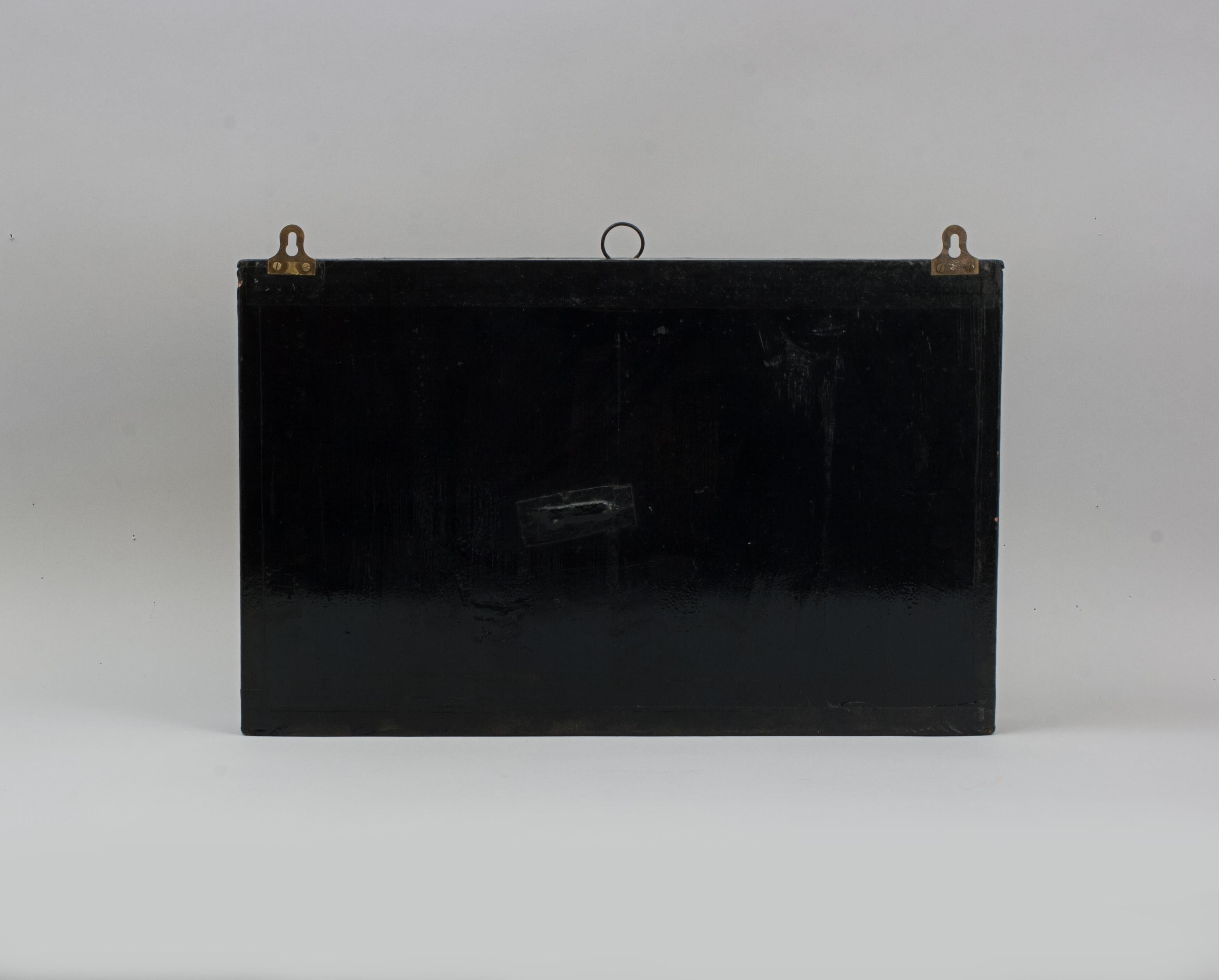 Fish in Bow Fronted Case, Roach en vente 3