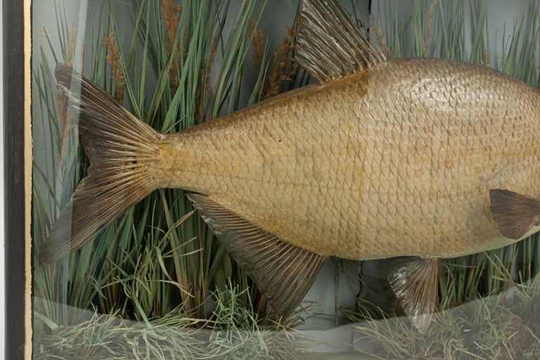 Poisson en céramique très original