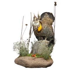 Taxidermy Grouse on a Naturalistic Base