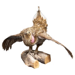 Taxidermy Grouse on Wood Mount