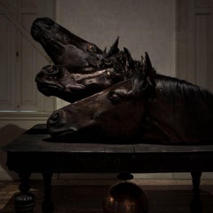 Taxidermy Horse Heads from Exhibition Tier at Moa by Sinke and Van Tongeren
