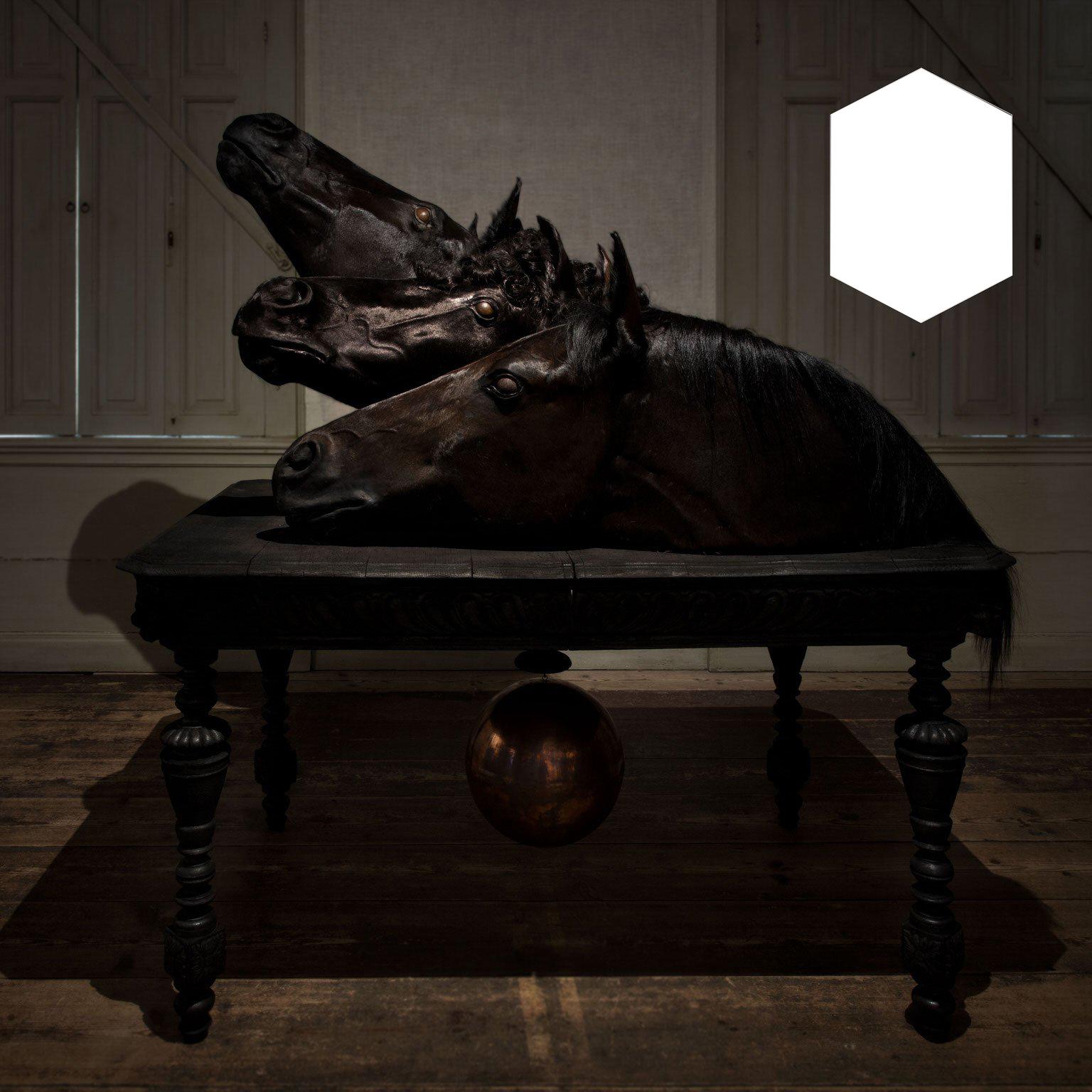 Dutch Taxidermy Horse Heads from Exhibition Tier at Moa by Sinke and Van Tongeren