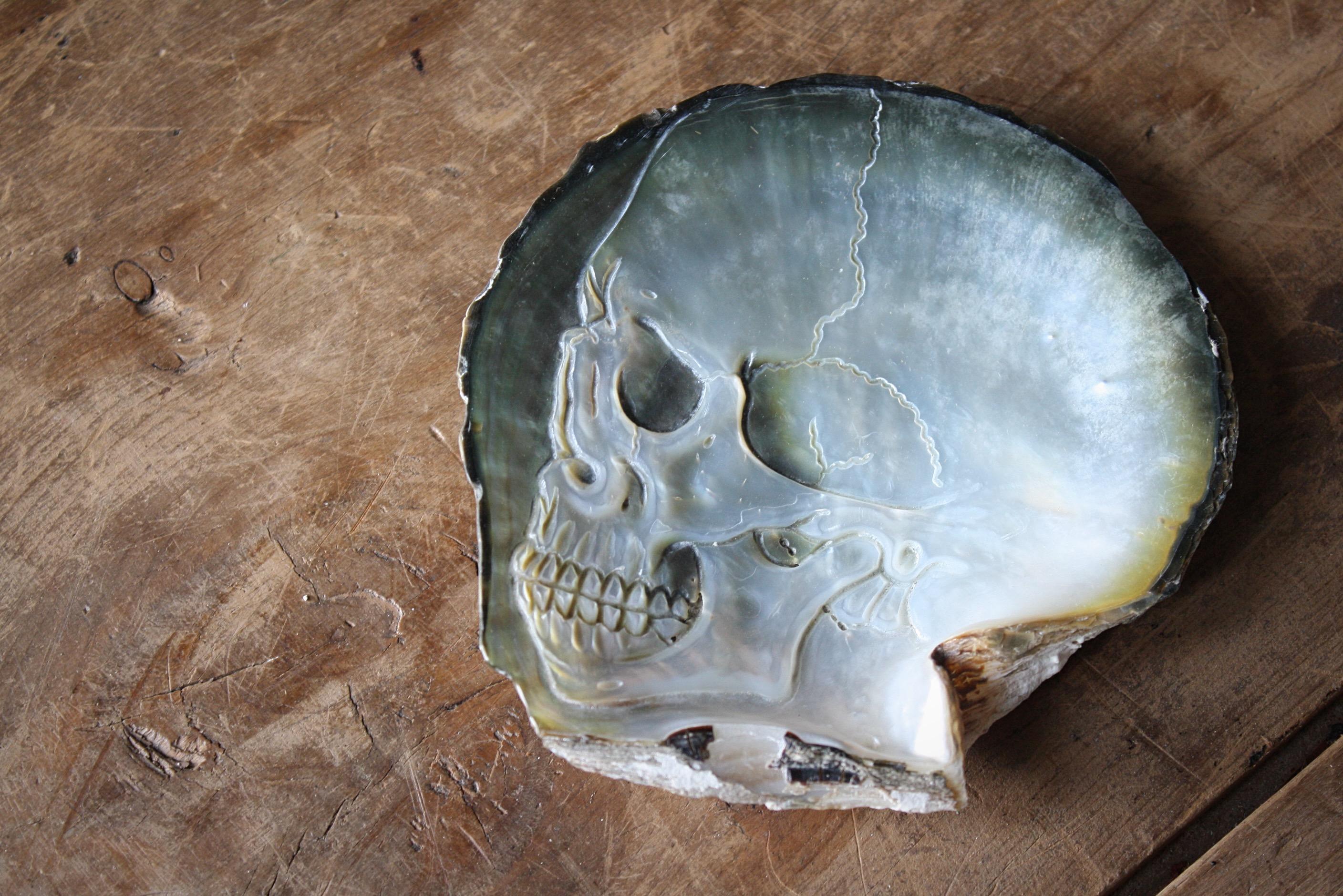 Taxidermy Memento Mori Skull Finely Carved Black Lip Pearl Oyster Bas Relief In Excellent Condition In Lowestoft, GB