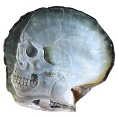 Taxidermy Memento Mori Skull Finely Carved Black Lip Pearl Oyster Bas Relief