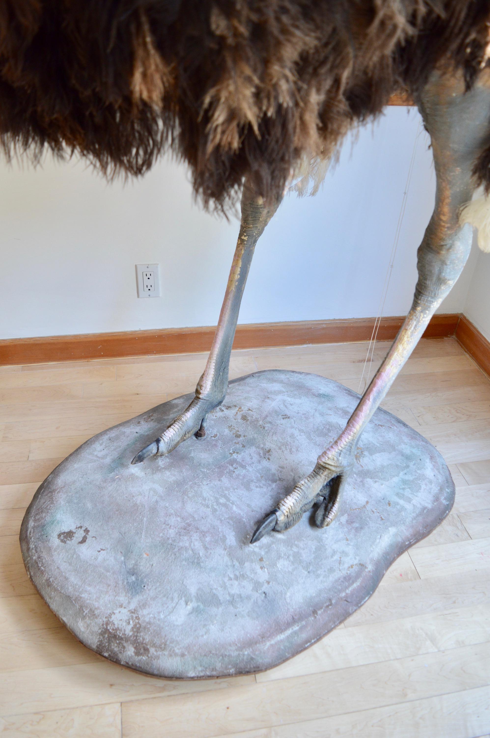 ostrich mount