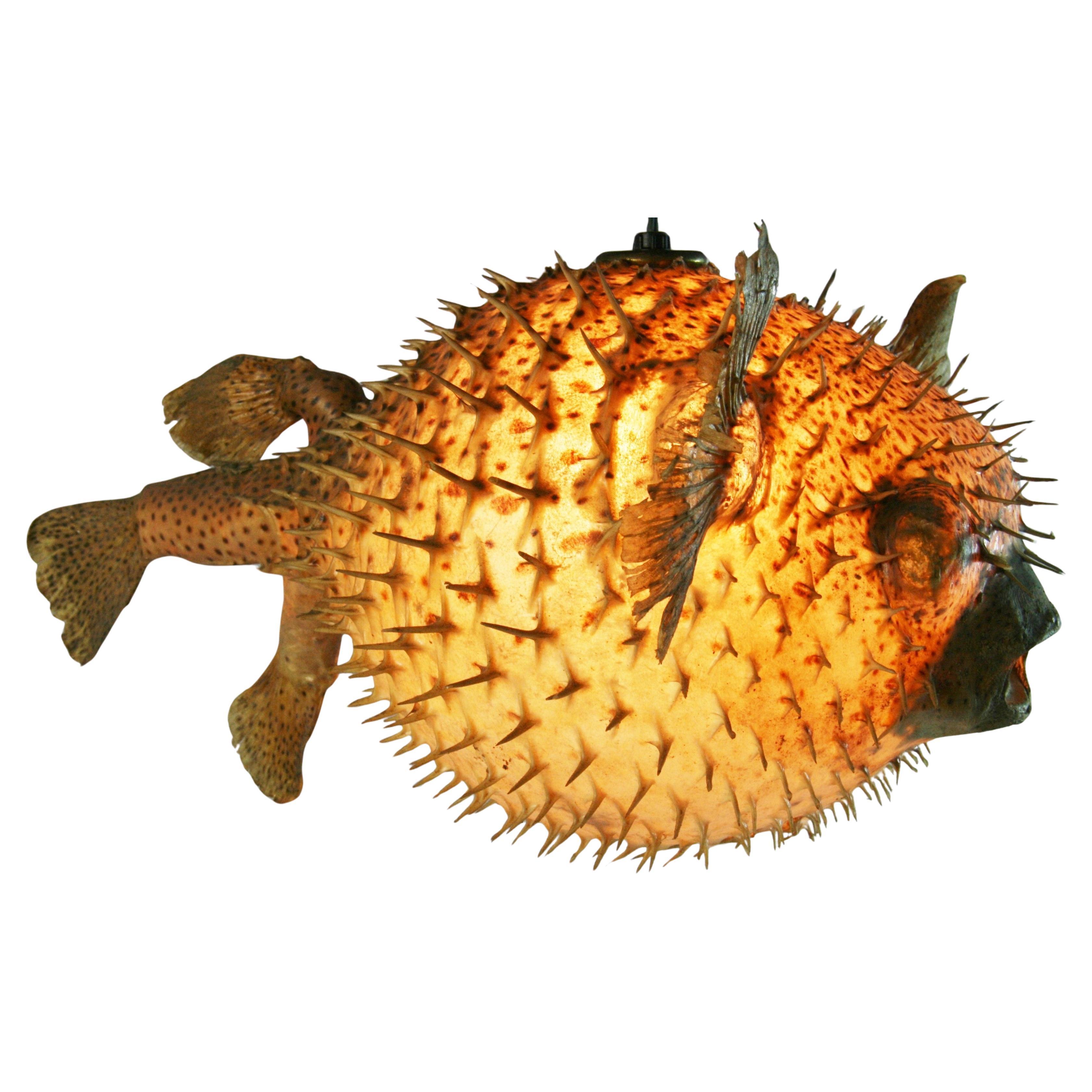 Taxidermy Oversized  Puffer /Blowfish Unusual Ceiling Light (2 available)