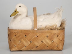 Taxidermy Roosters, Ducks and Even a Goose