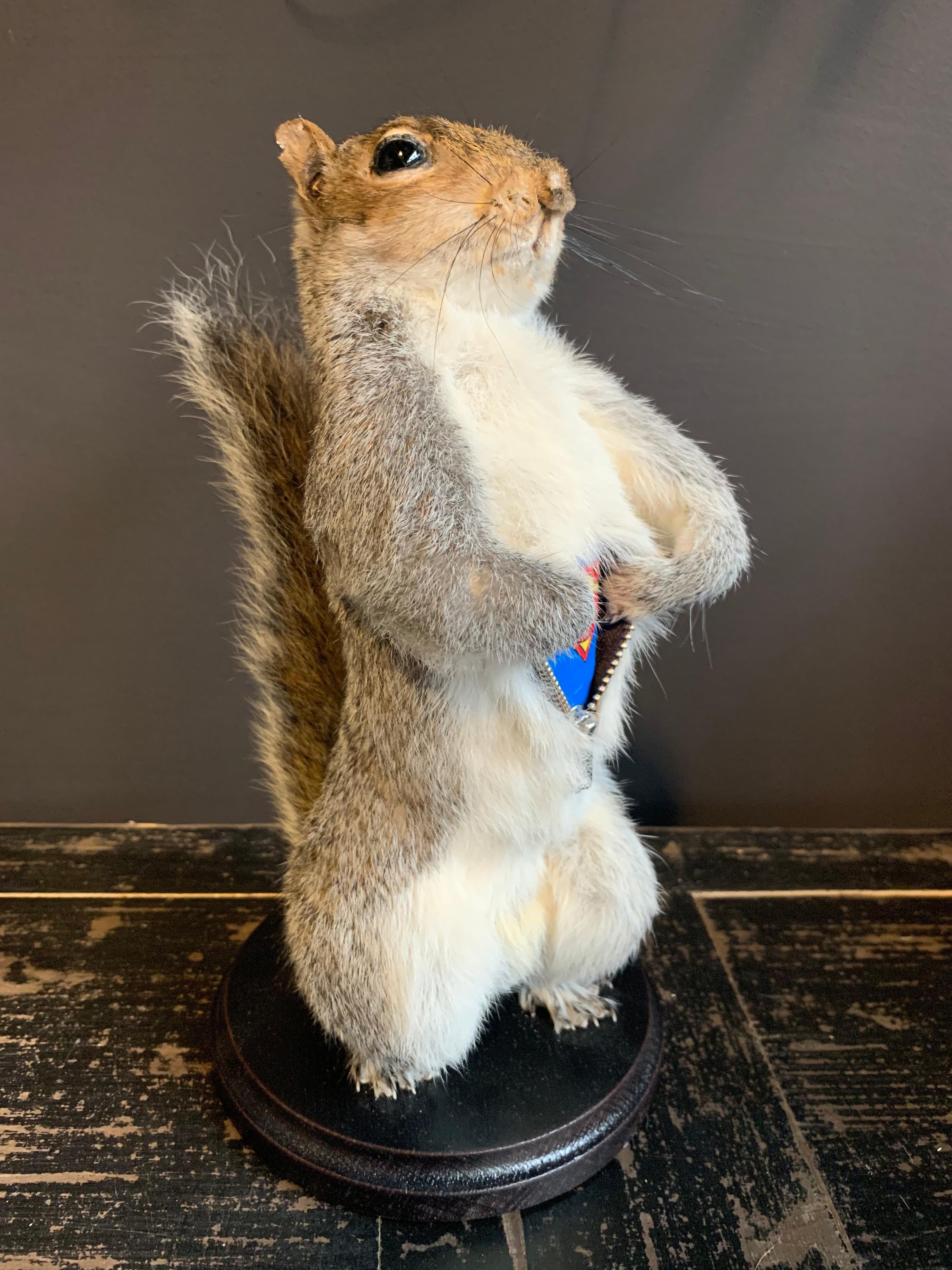 bad taxidermy squirrel
