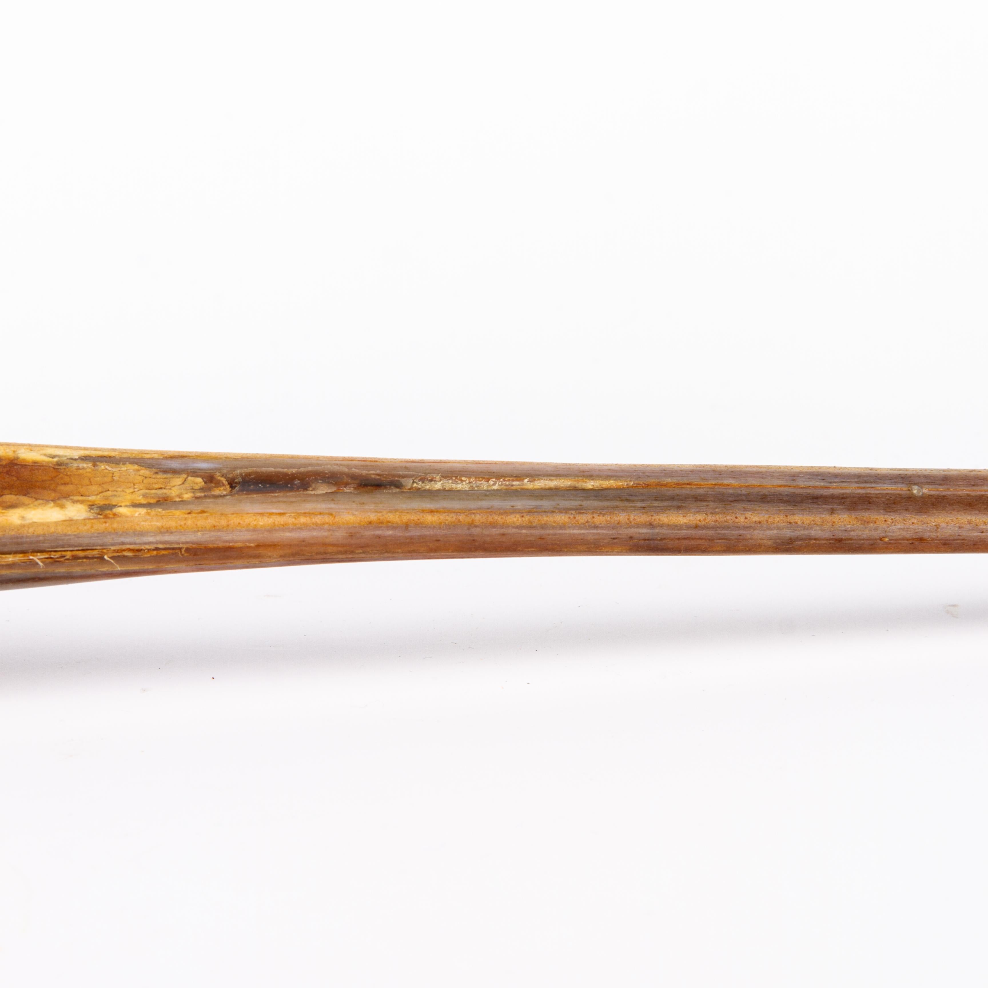 schwertfisch schwert kaufen