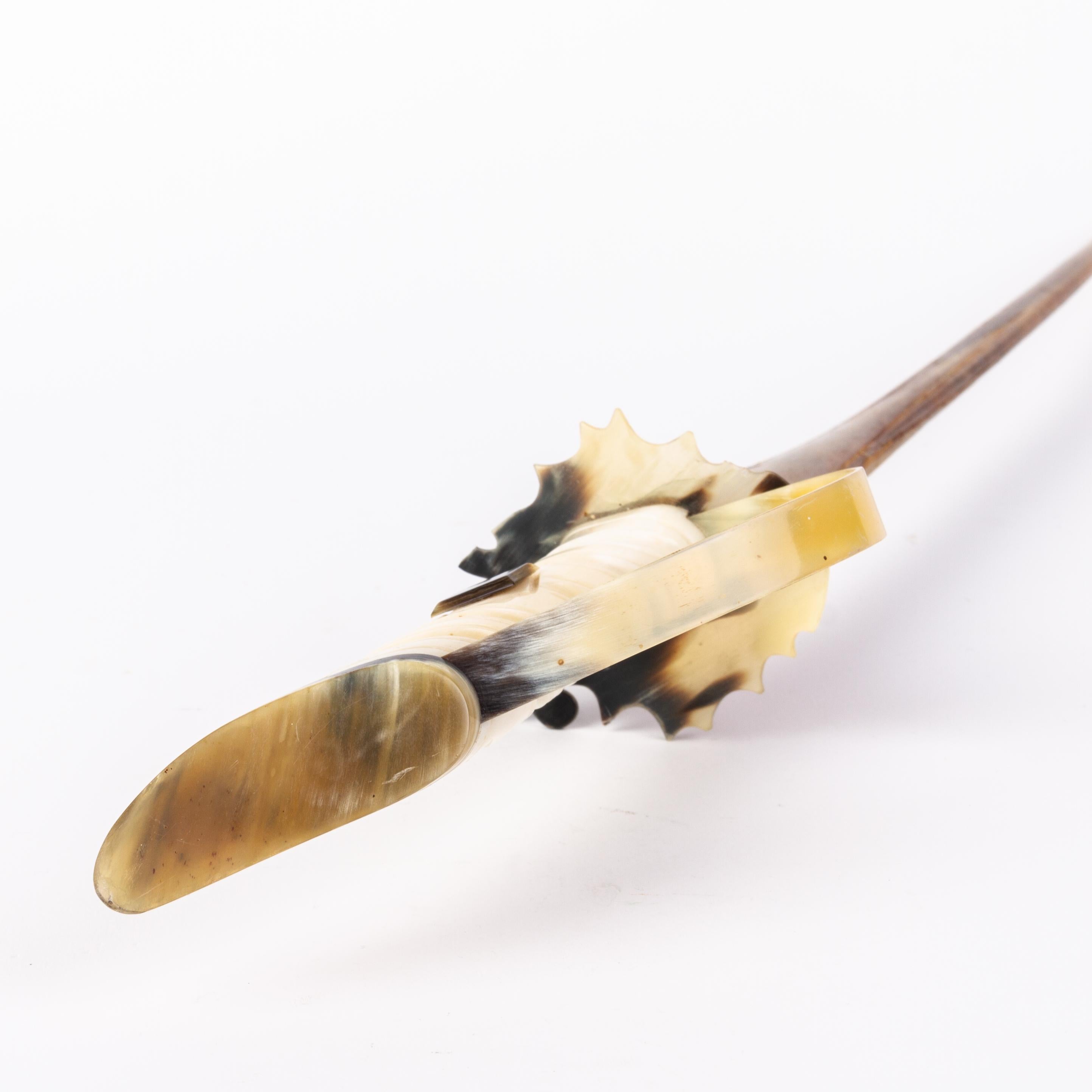 Taxidermy Swordfish Bill & Horn Novelty Sword 19th Century  For Sale 3
