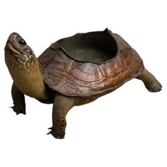 Taxidermy Tortoise Shell Ashtray-Double check price I did the math myself