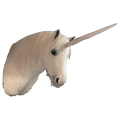Taxidermy "Unicorn" Shouldermount