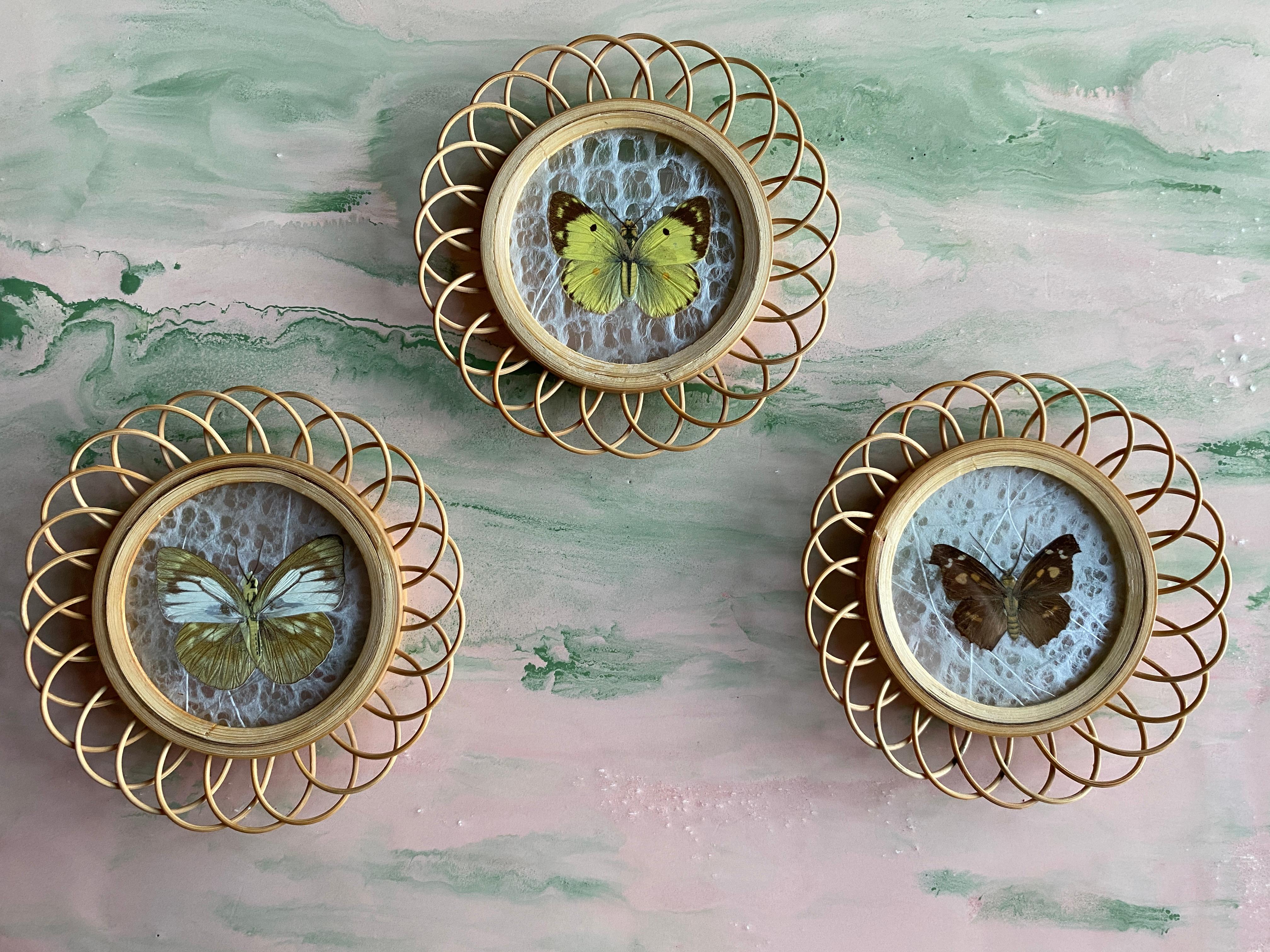 Taxidermy Wall Decoration Collection of 3 Butterflies, Spain, 1950s
This exquisite framed butterfly collection features three beautiful specimens. The bodies antennas are switched to paper dummys, but the wings appears to be real. Vintage butterfly