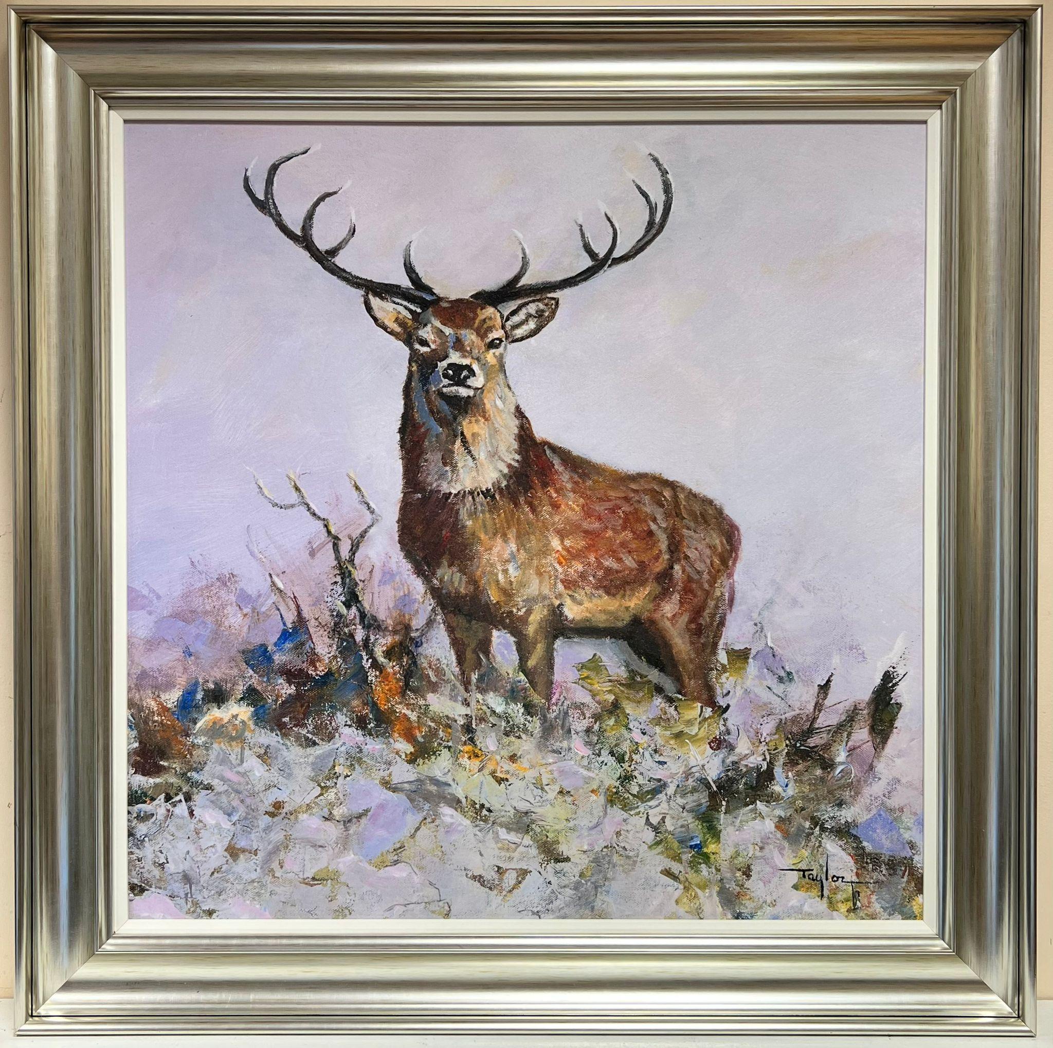 Taylor Animal Painting - Huge Contemporary British Painting - The Monarch of the Glen Highland Stag