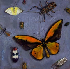 Insect Square