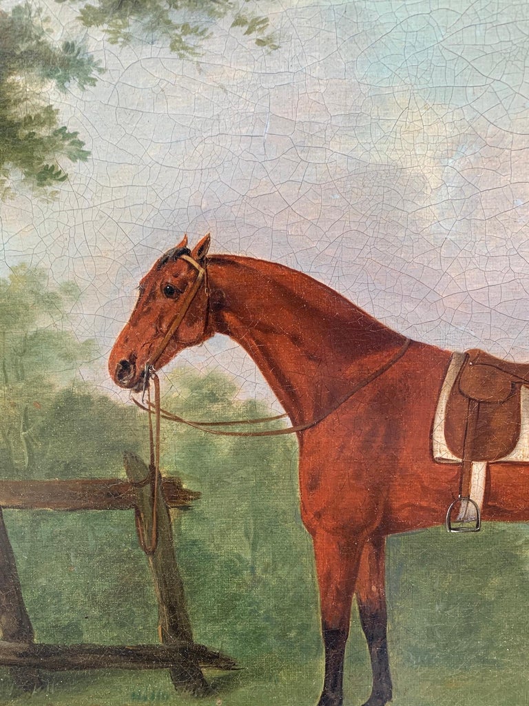 T.Cooper - 18th century English portrait of the Horse 'The Baronet' in ...