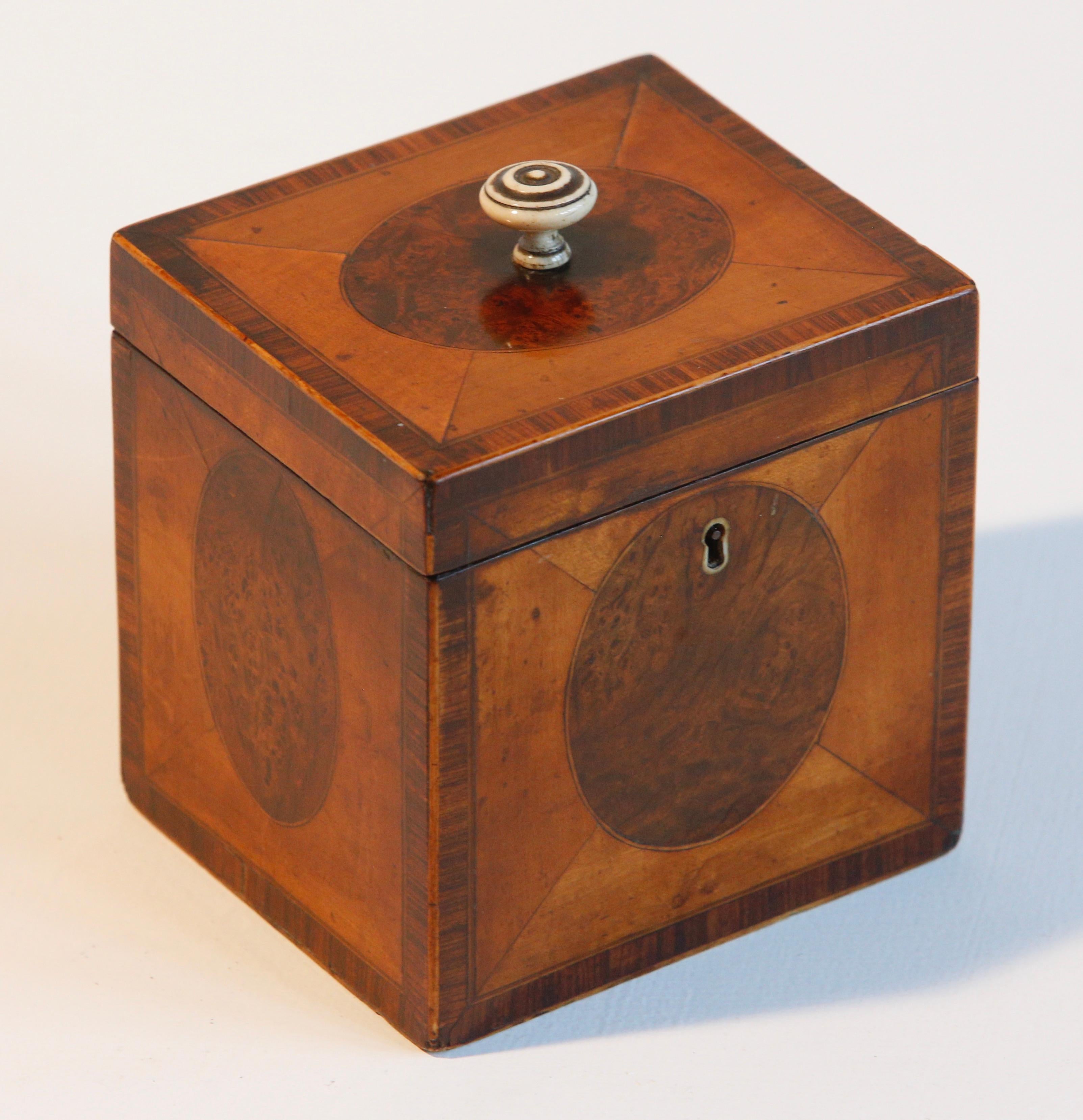 A fine 18th century satinwood and yew tea caddy, the oval burr panels figuring on all sides with boxwood banding and bone knob to the lid. Wonderful patination and remnants of silver paper on the inside.
           
