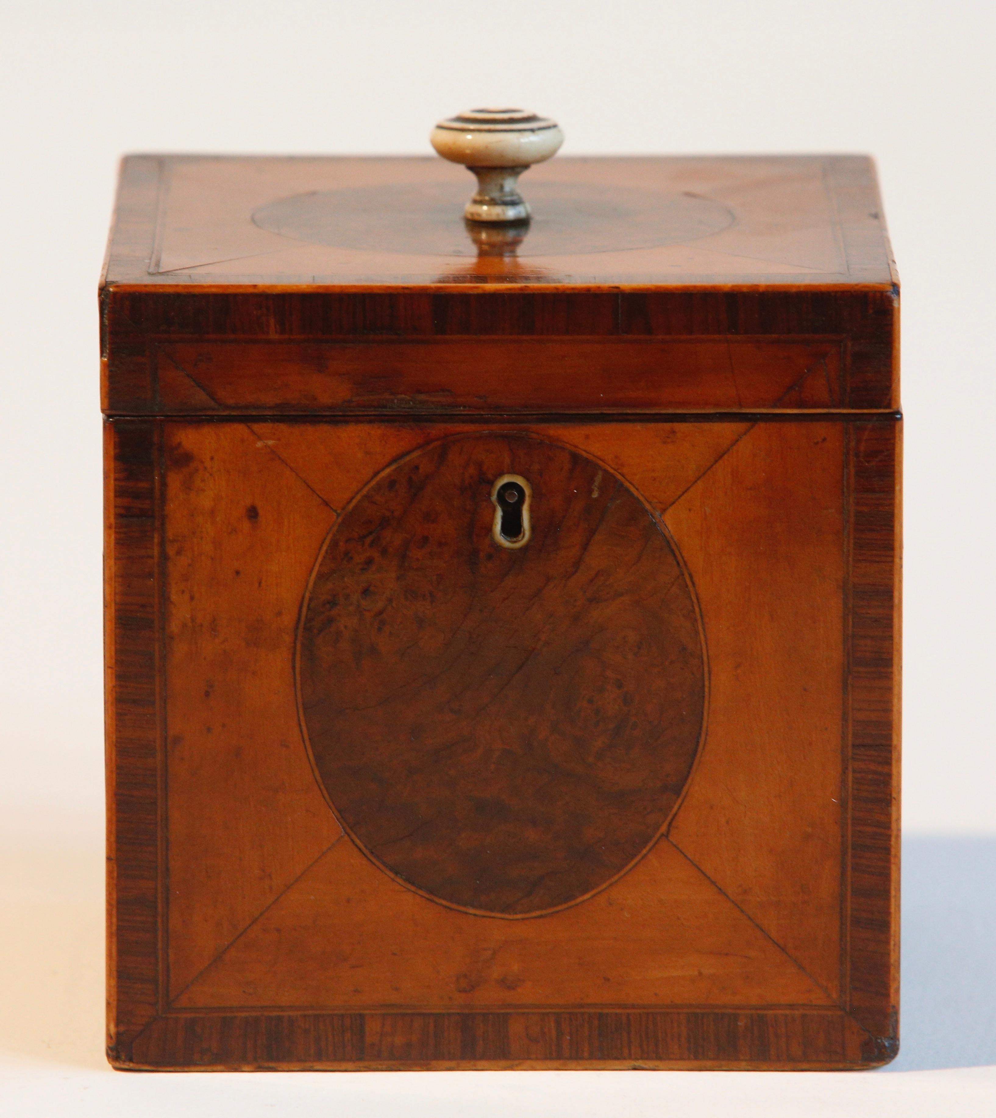 Inlay Tea Caddy Yew Boxwood Inlaid English George III For Sale