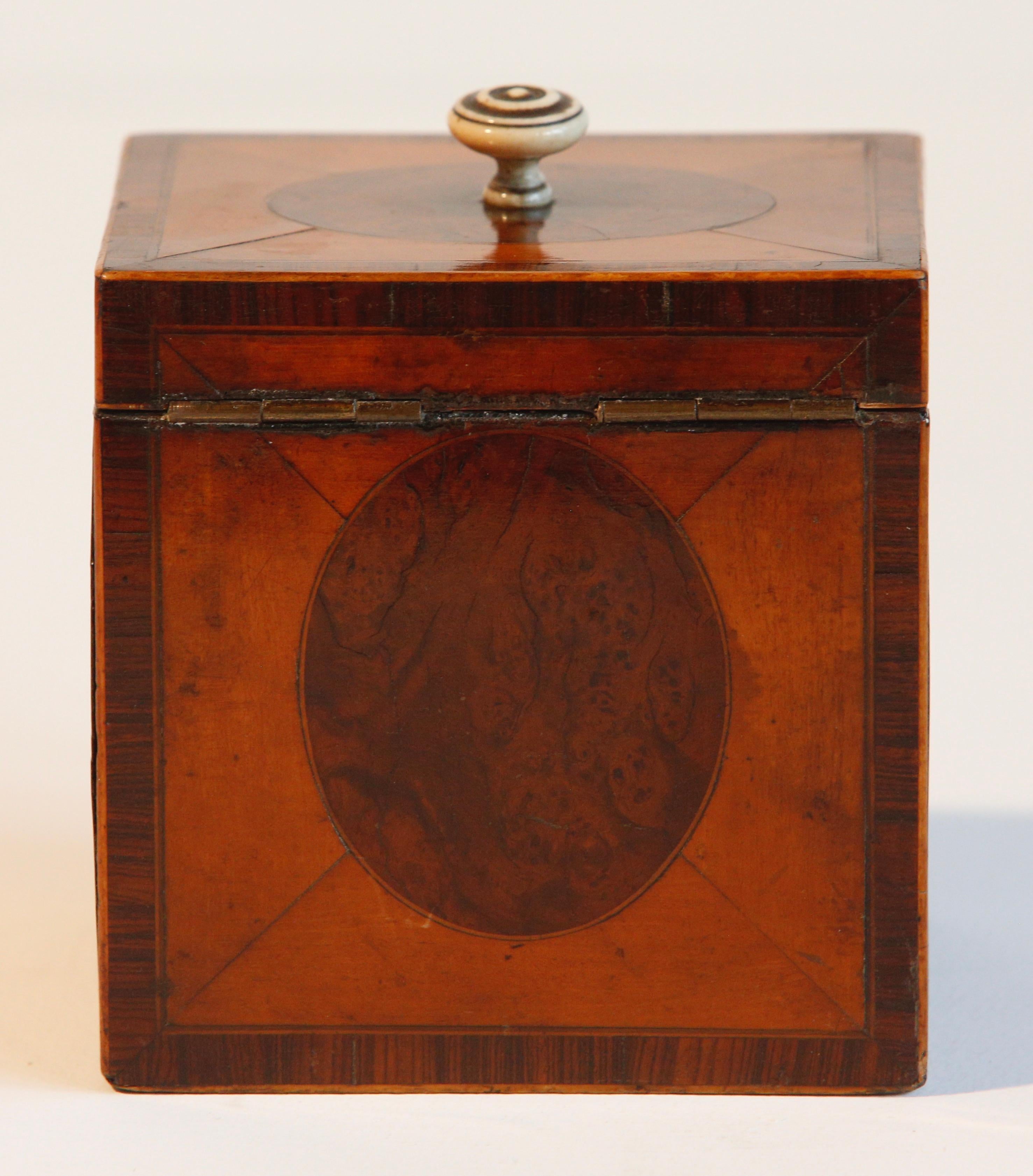 Tea Caddy Yew Boxwood Inlaid English George III In Good Condition For Sale In Cheltenham, GB
