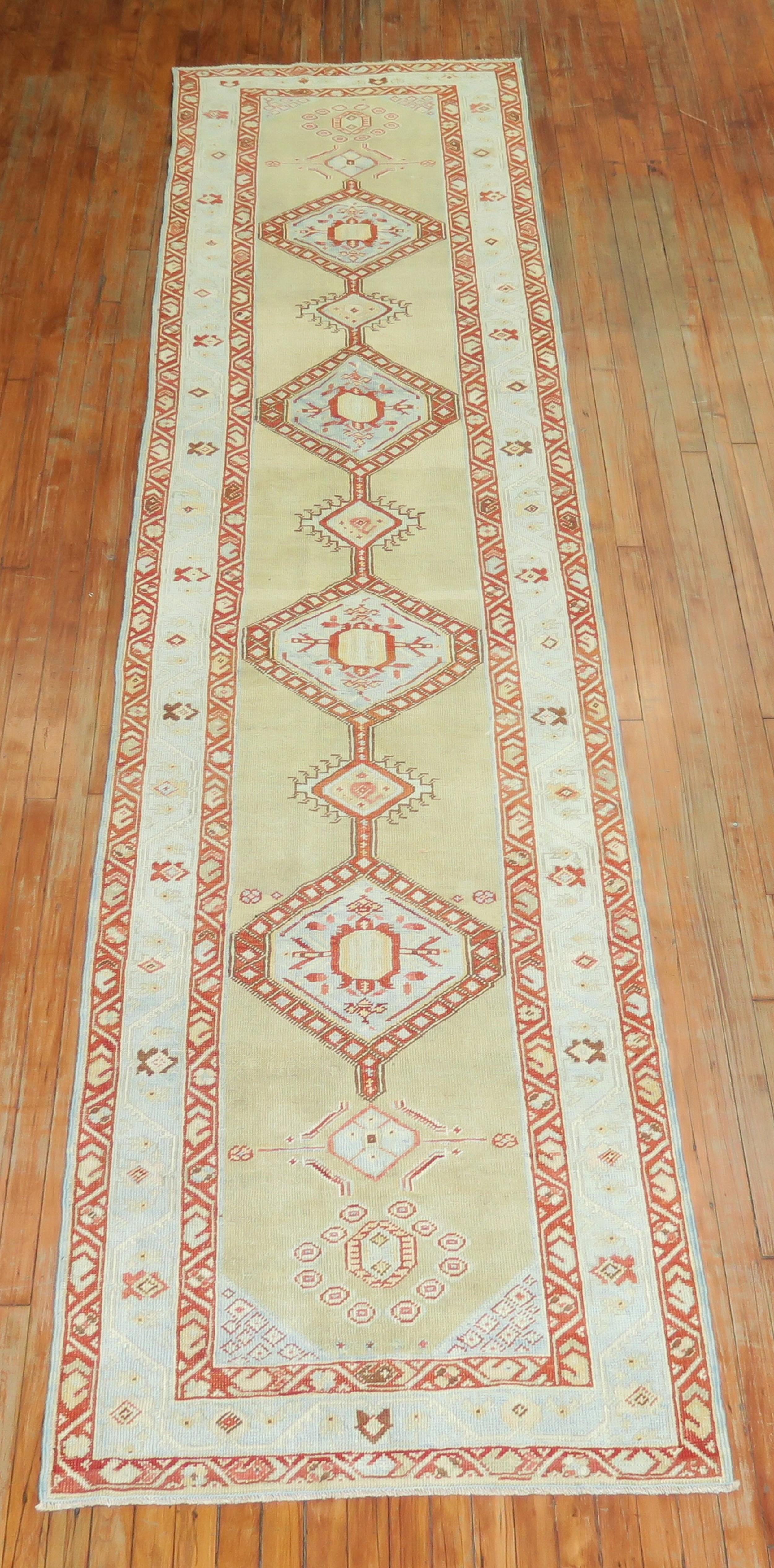 Early 20th century Persian Serab runner with a light tea green field, accents in light blue and red too. Not so busy, colors are slick and clean throughout. Tribal motif, good overall condition too.

Size 3'2'' x 13'5'' early 20th century.