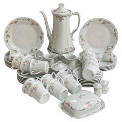 Vintage Rare Porcelain Tea Set from Tirschenreuth, Baronesse Collection, Set of 49