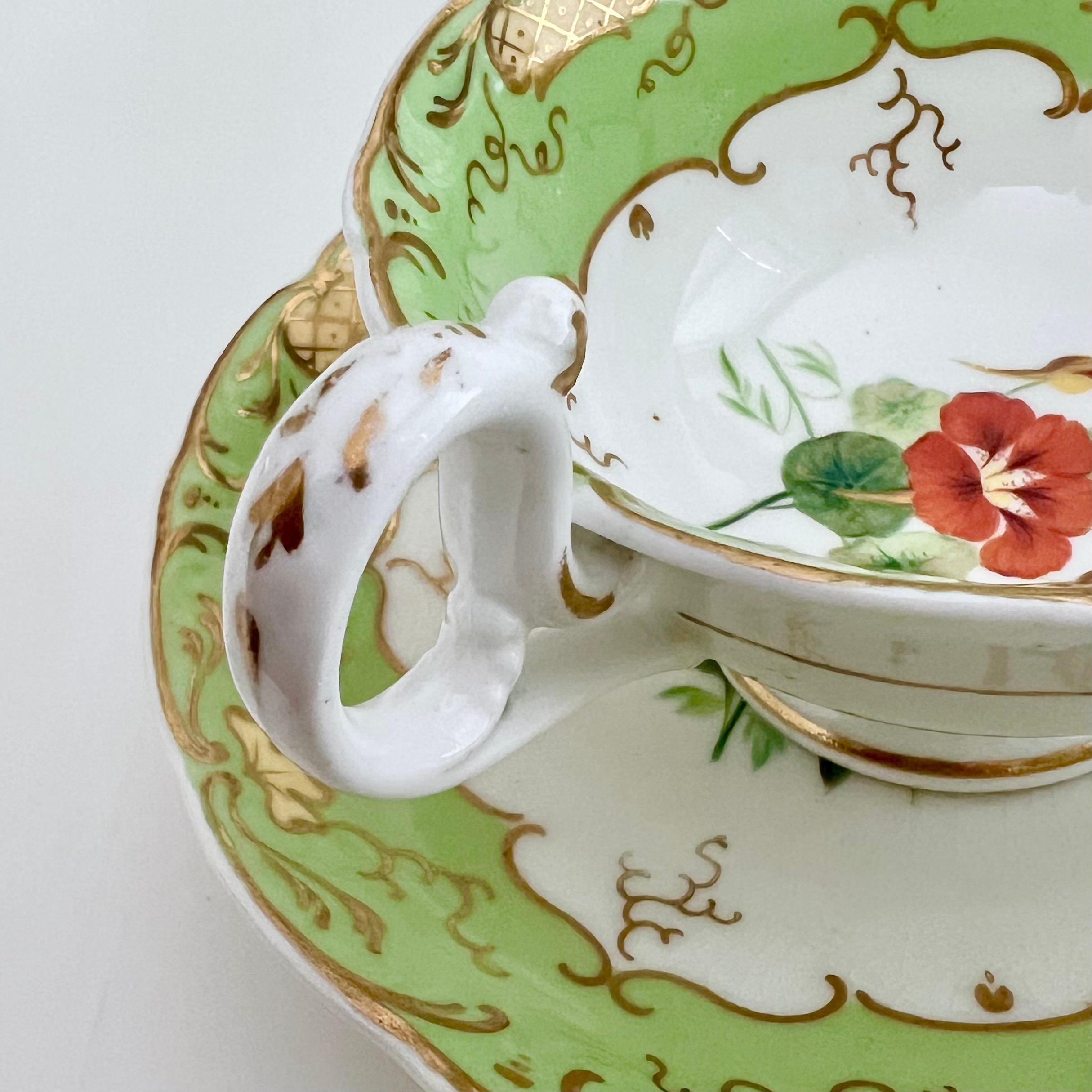 Teacup H&R Daniel, Apple Green with Red Flowers, Rococo Revival, circa 1840 6