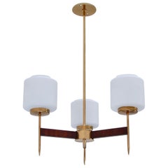 Teak and Brass Italian Hanging Fixture