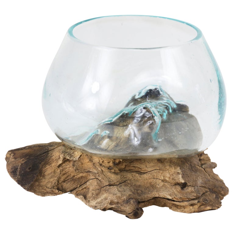 Teak and Glass Terrarium For Sale at 1stDibs