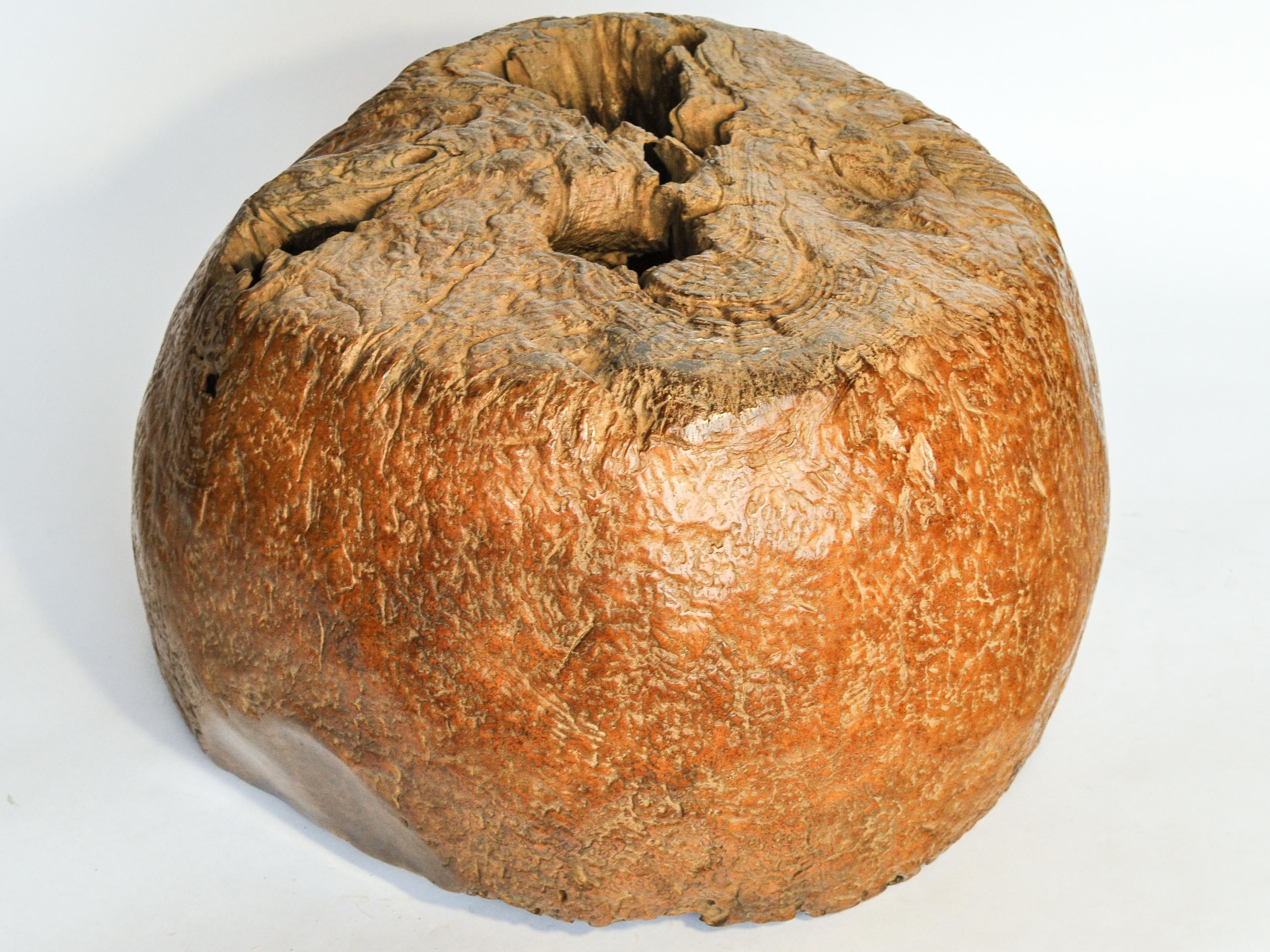 Teak Burl Planter / Bowl Eroded Bottom, Madura, Java, Early to Mid-20th Century 13