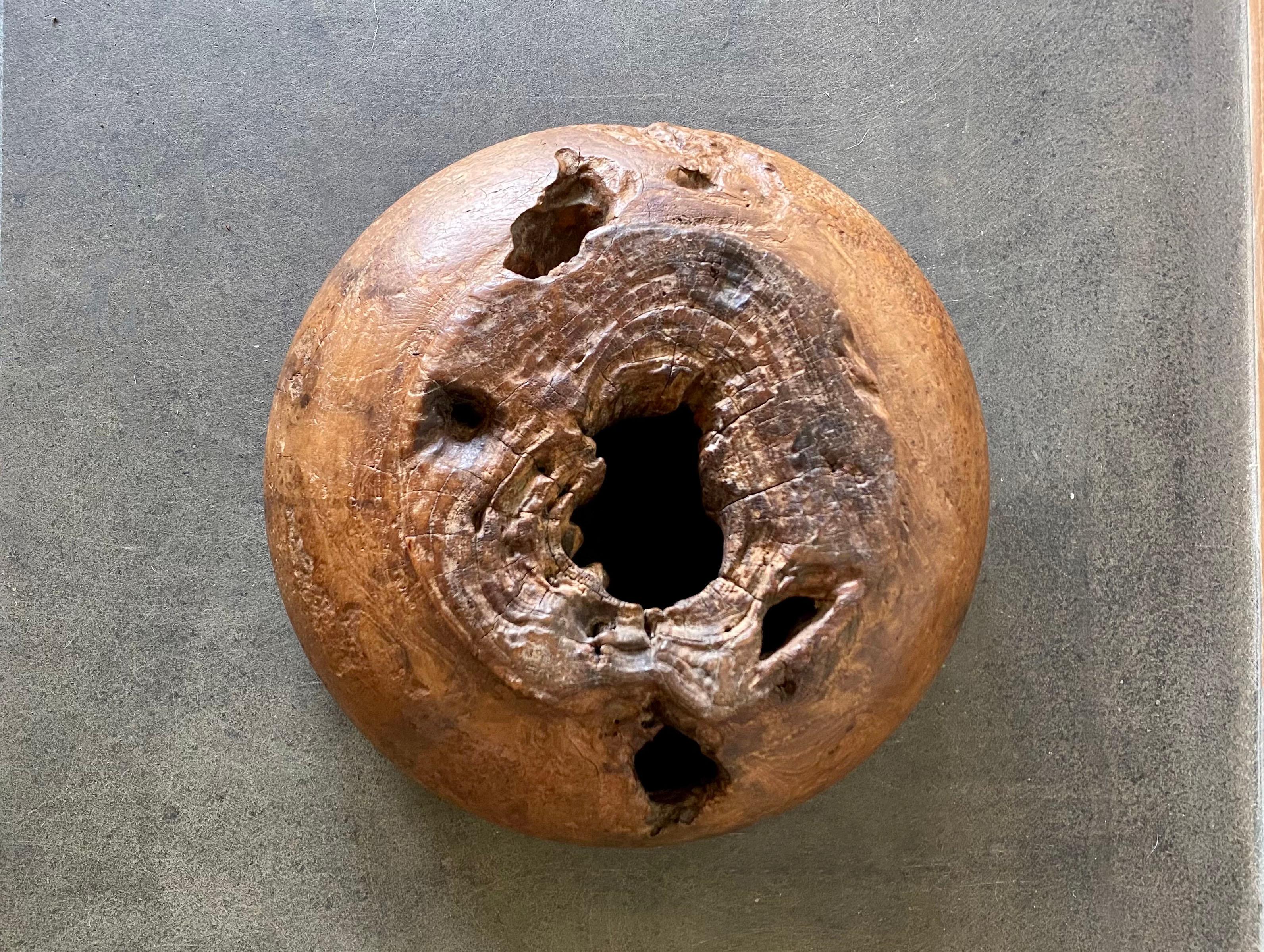 Other Teak Burl Wood Bowl from Java, Indonesia, Late 20th Century For Sale