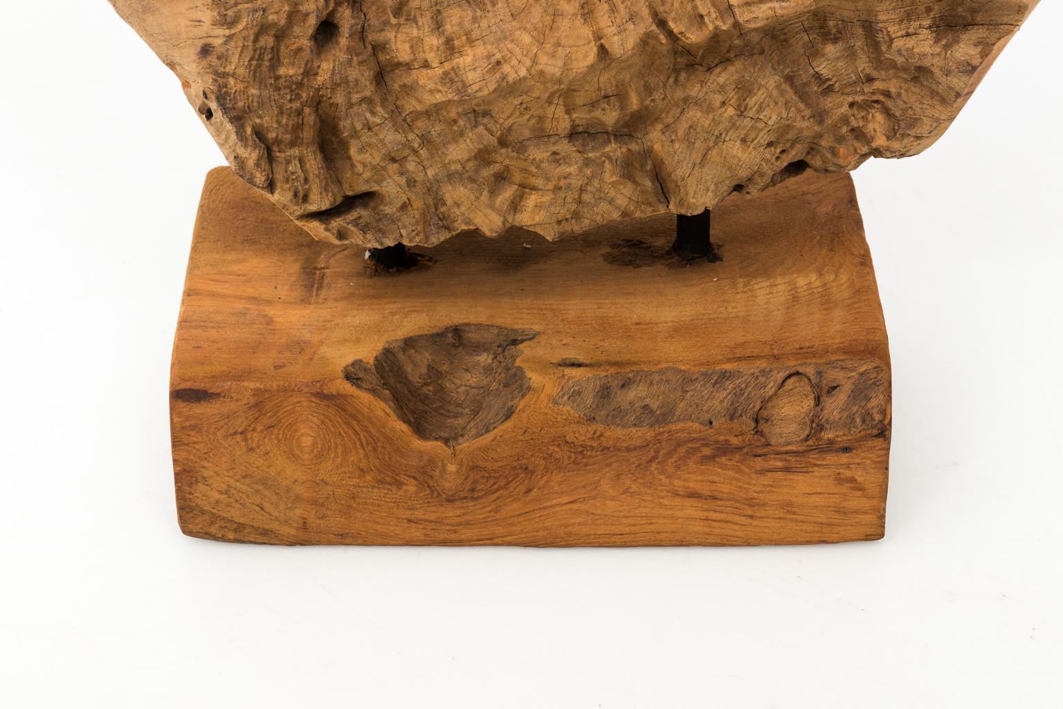 Teak Burl Wood Sculpture  5