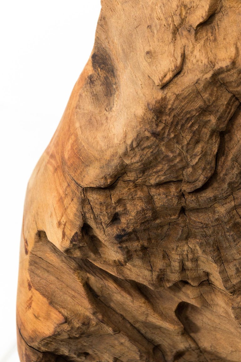Teak Burl Wood Sculpture at 1stDibs