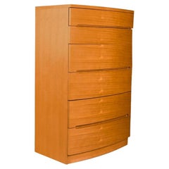 Retro Teak Mid-Century Modern Tall Dresser