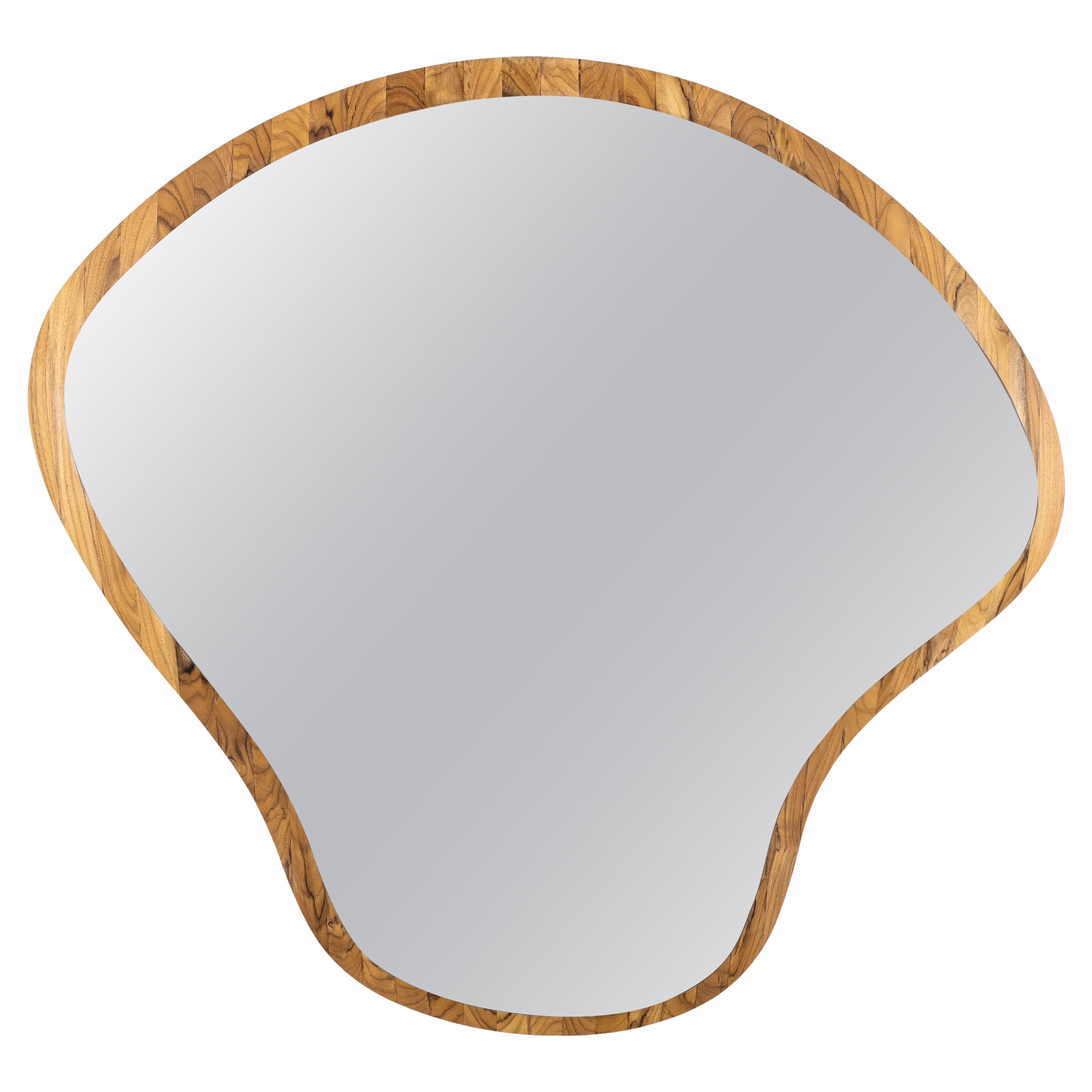 Teak Mirror with Unique Silver Finish Plate and Organic Design - Pantê Line For Sale