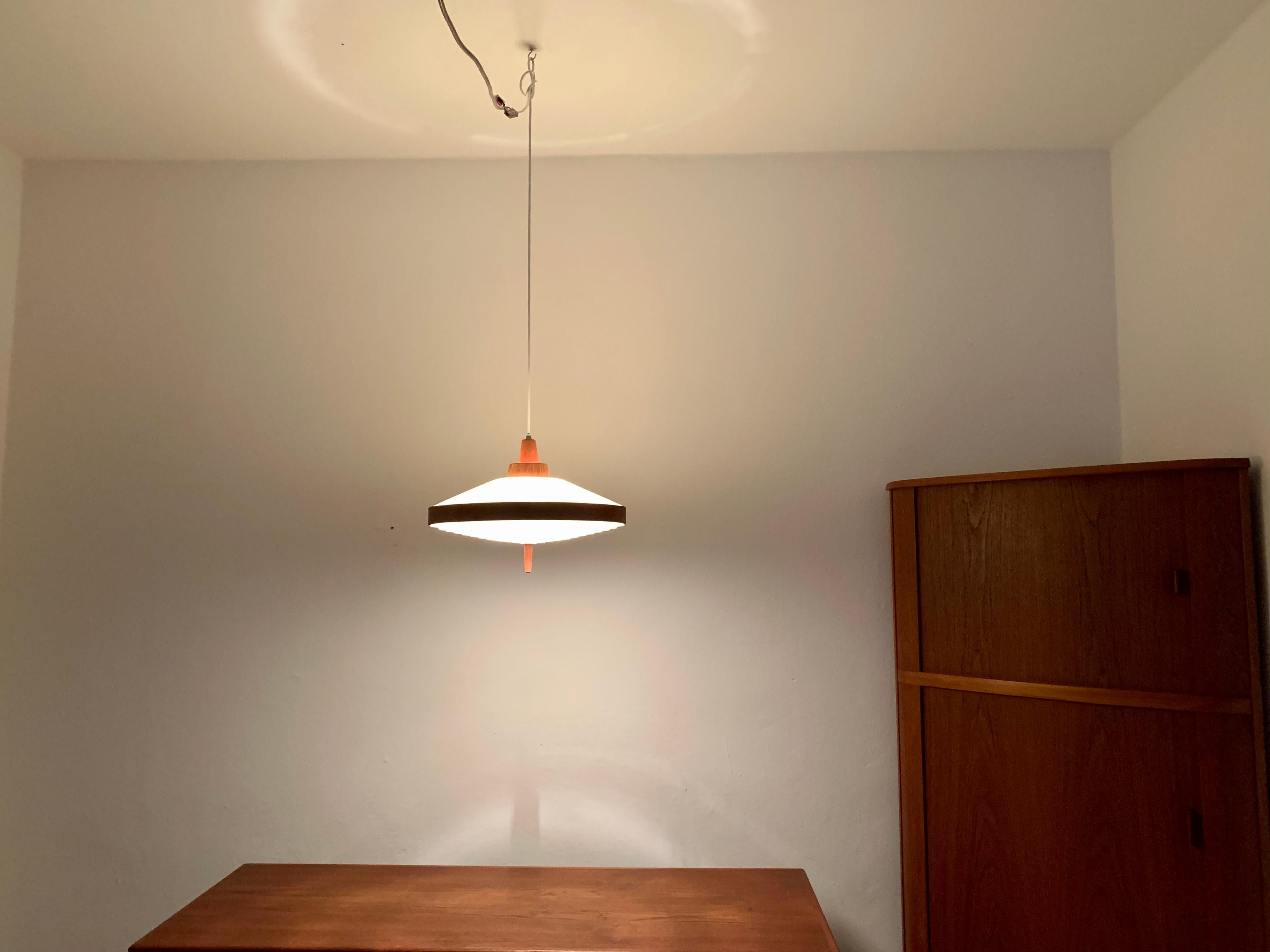 Teak Pendant Lamp by Temde For Sale 3