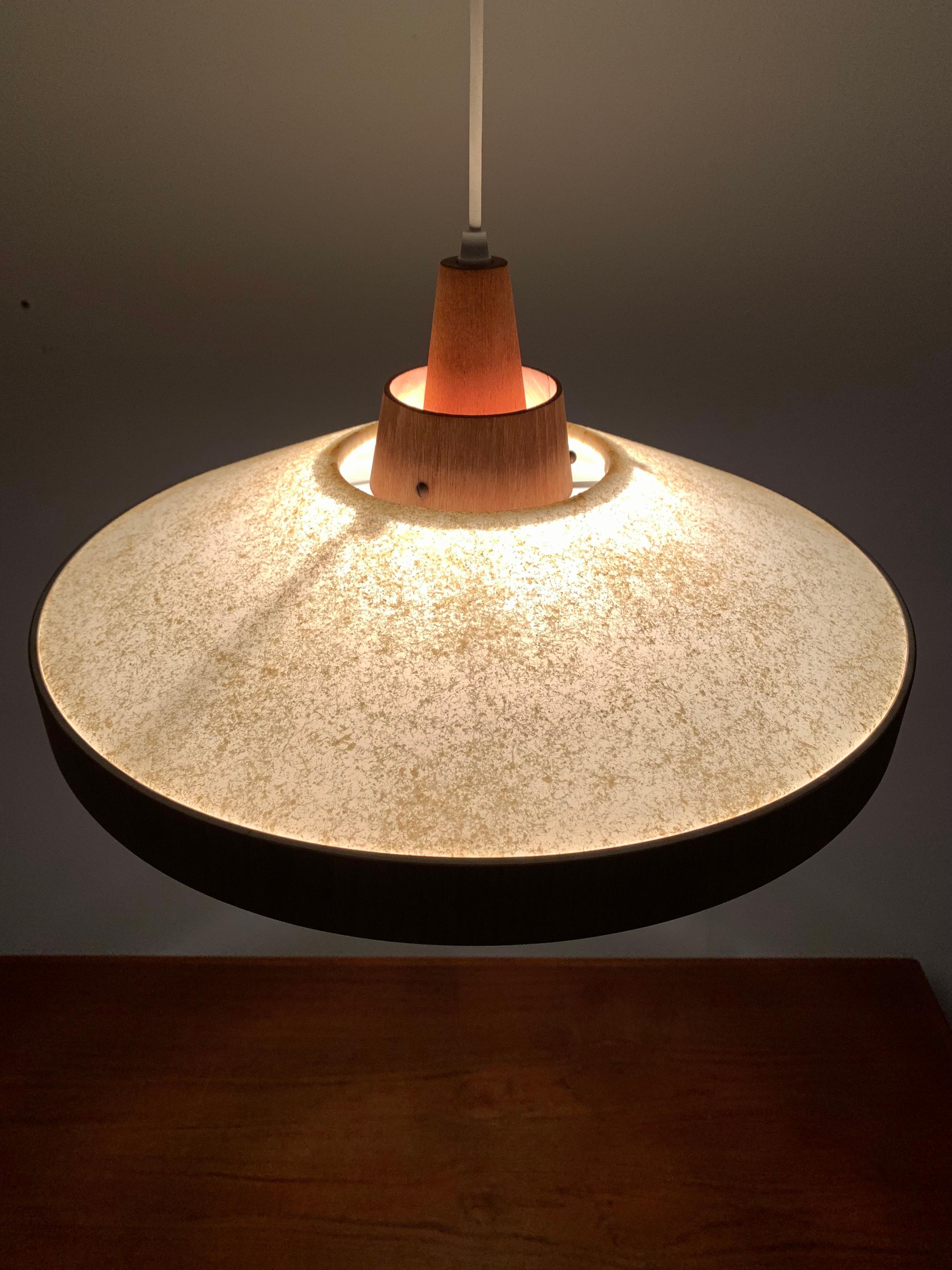 Teak Pendant Lamp by Temde For Sale 5