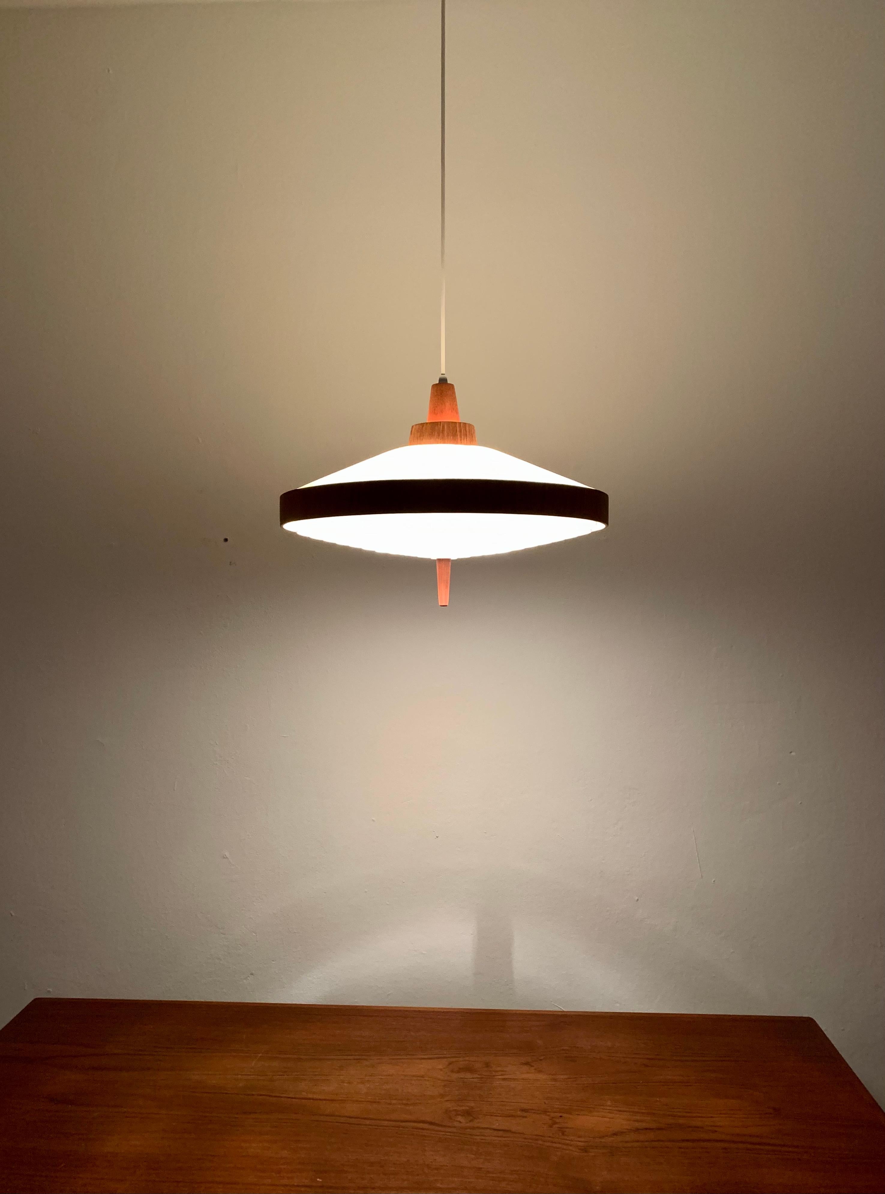 Teak Pendant Lamp by Temde For Sale 2