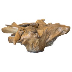 Teak Root Coffee Table