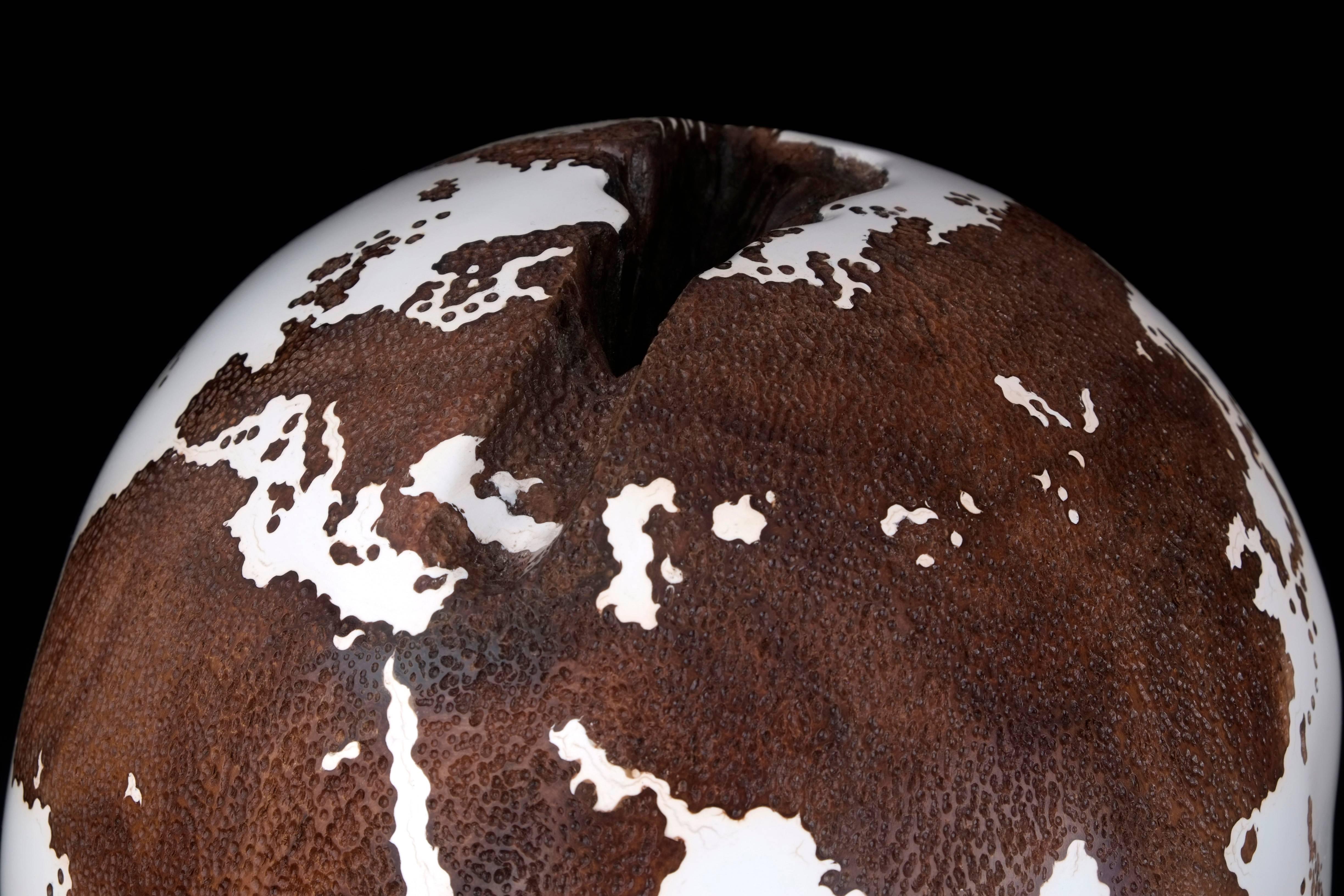 Appliqué Teak Root Globe with Acrylic White Resin and Hammered Skin Finishing 25cm For Sale