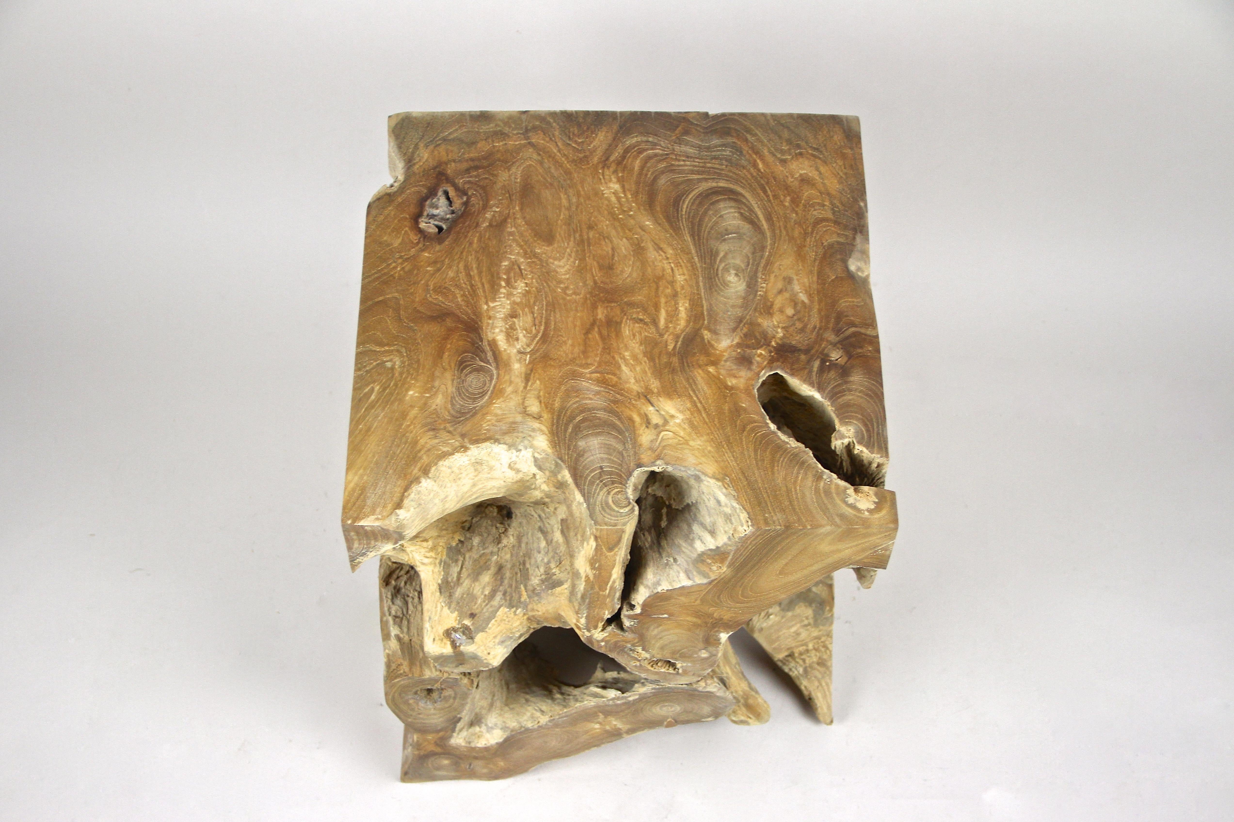 teak root stool