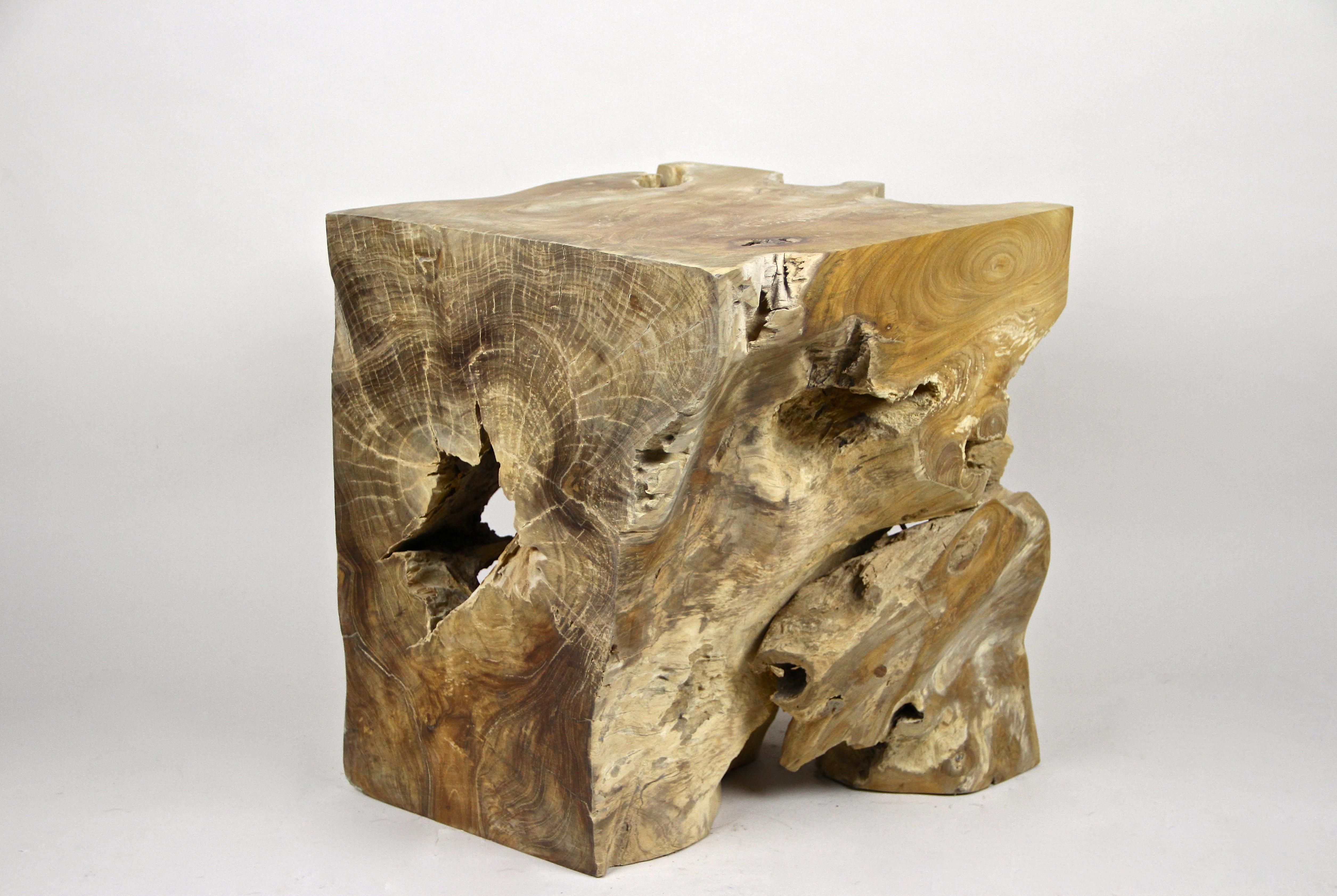 Contemporary Teak Root Side Table or Stool Oiled, Organic Modern
