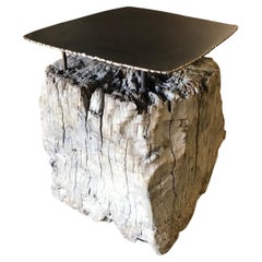 Teak Root Side Table With Iron and Bronze Top
