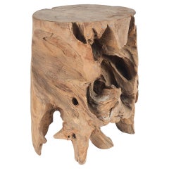 Teak Wurzelholz Beistelltisch