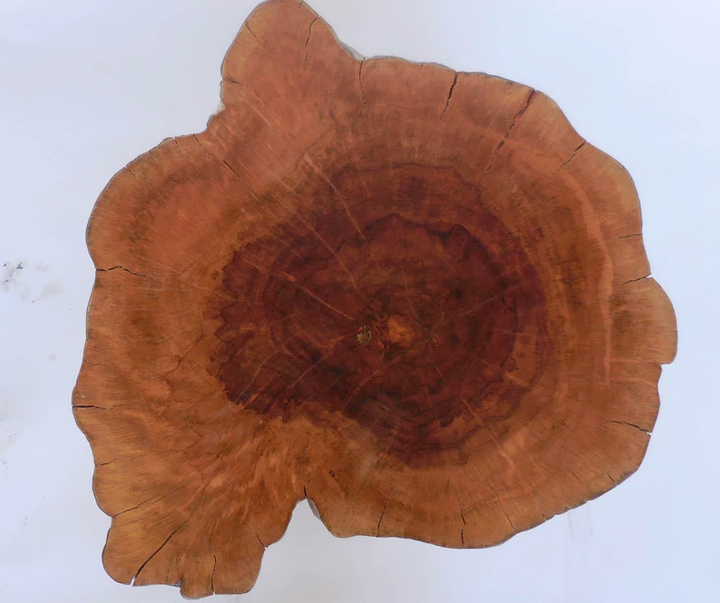 Wood Teak Side Table